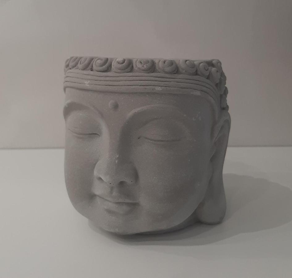 都灵A Casa Da Joy公寓 外观 照片